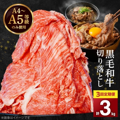 【定期便3回】A4～A5等級 黒毛和牛切り落とし1kg(500g×2P)_S001-001-T03A