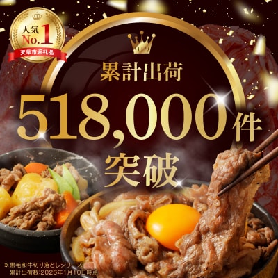 【定期便3回】A4～A5等級 黒毛和牛切り落とし1kg(500g×2P)_S001-001-T03A