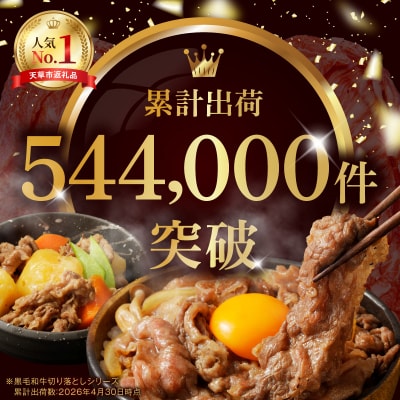 【定期便3回】A4～A5等級 黒毛和牛切り落とし1kg(500g×2P)_S001-001-T03A