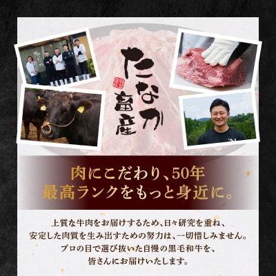 【定期便3回】A4～A5等級 黒毛和牛切り落とし1kg(500g×2P)_S001-001-T03A
