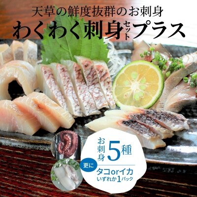 わくわく刺身セットプラス_S059-009