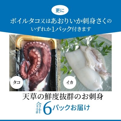 わくわく刺身セットプラス_S059-009