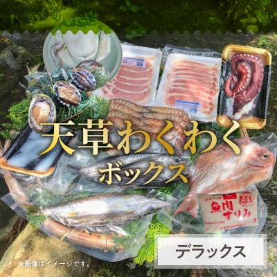 天草わくわくボックスデラックス_S059-010A