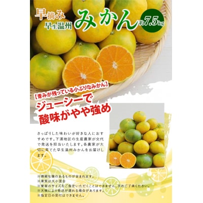 〈先行受付〉早摘み 早生温州みかん 約7.5kg _S040-020A