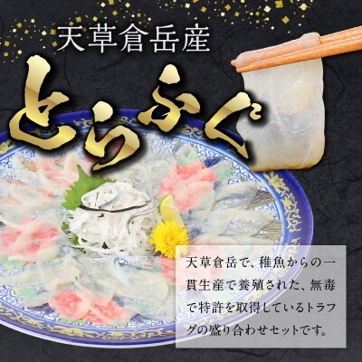 【指定日必須】トラフグ宅配セット2-3人前_S033-002A