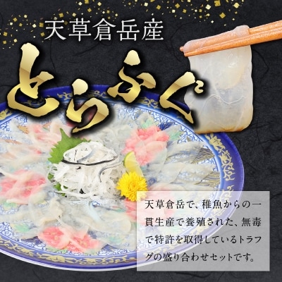 【指定日必須】トラフグ宅配セット2-3人前_S033-002A