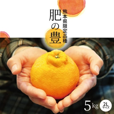 熊本県天草産　肥の豊5kg　2Lサイズ〈先行受付〉_S110-001