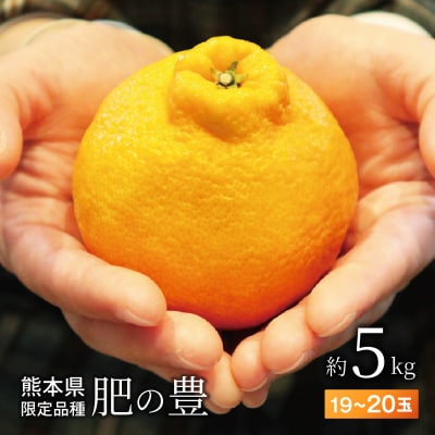 熊本県天草産　肥の豊5kg　19～20玉〈先行受付〉_S110-001