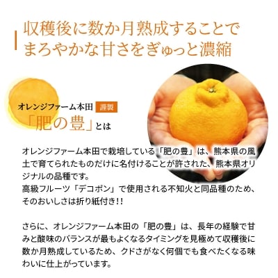 熊本県天草産　肥の豊5kg　2Lサイズ〈先行受付〉_S110-001