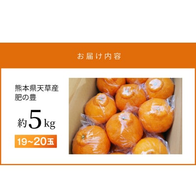 熊本県天草産　肥の豊5kg　19～20玉〈先行受付〉_S110-001