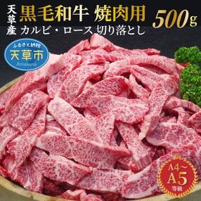 黒毛和牛 焼肉 カルビ ロース 切り落とし 500g A4 ～ A5 天草産_S001-026