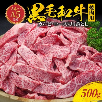 黒毛和牛 焼肉 カルビ ロース 切り落とし 500g A4 ～ A5_S001-026A