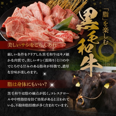 黒毛和牛 焼肉 カルビ ロース 切り落とし 500g A4 ～ A5_S001-026A