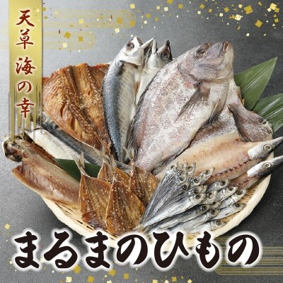 祈りの港崎津干物セット あじ さば えそなど旬の魚の干物 S021 002 お礼品詳細 ふるさと納税なら さとふる