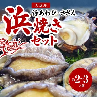【指定日必須】天草産 活あわび・さざえ 浜焼きセット 約2～3人前_S002-017A