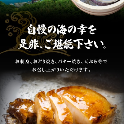 【指定日必須】天草産 活あわび・さざえ 浜焼きセット 約2～3人前_S002-017A