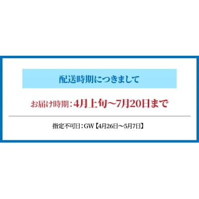【指定日必須】岩牡蠣　約3kg　約3人前【先行受付】_S002-019A