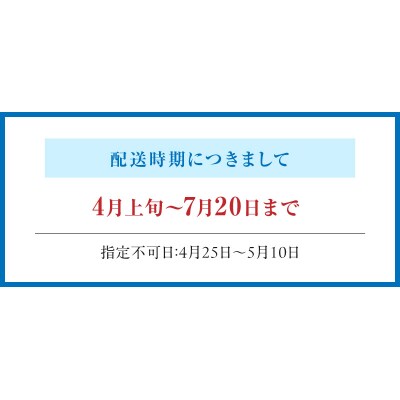 【指定日必須】岩牡蠣　約3kg　約3人前【先行受付】_S002-019A
