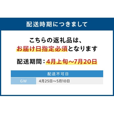 【指定日必須】岩牡蠣　約3kg　約3人前【先行受付】_S002-019A