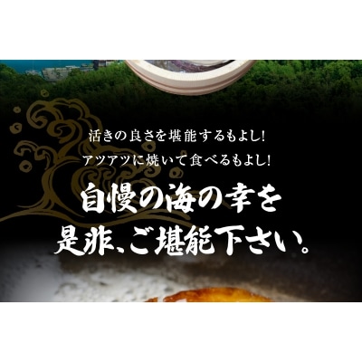 【指定日必須】【期間限定・先行受付】天草の旬!バーベキューセット　約3人前_S002-020A