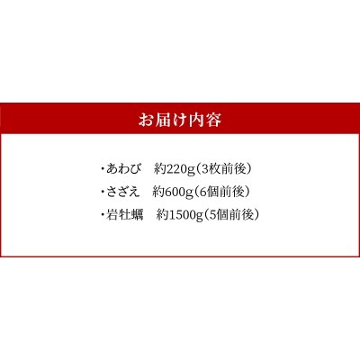 【指定日必須】【期間限定・先行受付】天草の旬!バーベキューセット　約3人前_S002-020A