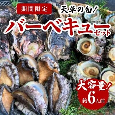 【期間限定・先行受付】天草の旬!バーベキューセット大　約6人前_S002-021