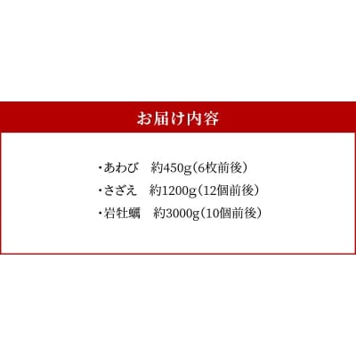 【期間限定・先行受付】天草の旬!バーベキューセット大　約6人前_S002-021