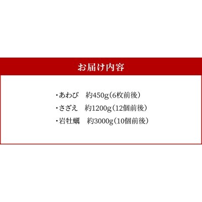 【期間限定・先行受付】天草の旬!バーベキューセット大　約6人前_S002-021