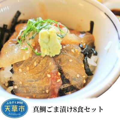 真鯛ごま漬け8食セット_S010-059 | ふるさと納税のお礼品