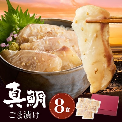 真鯛ごま漬け8食セット_S010-059
