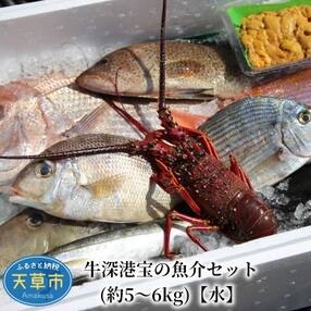 熊本県 伊勢海老のお礼品 返礼品一覧 ふるさと納税サイト さとふる