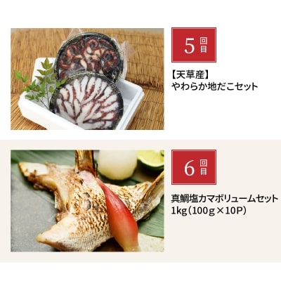 【定期便6回】天草の海の幸「簡単調理だけど美味い!」をお届け_S999-T03