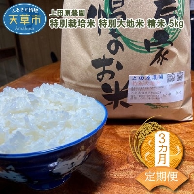 【3ヶ月定期便】特別大地米 精米 5kg_S051-T04A
