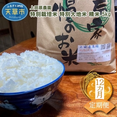 【12ヶ月定期便】特別大地米 精米 5kg_S051-T06