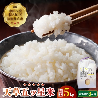 【3ヶ月定期便】【先行受付】天草五ッ星米 精米 5kg_S061-T05A