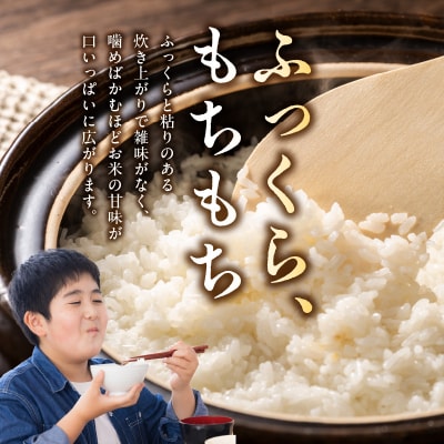 【3ヶ月定期便】【先行受付】天草五ッ星米 精米 5kg_S061-T05A