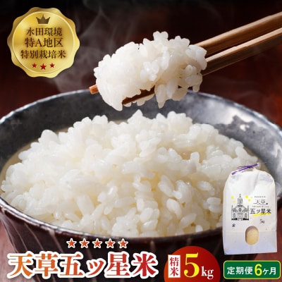 【6ヶ月定期便】【先行受付】天草五ッ星米 精米 5kg_S061-T06A