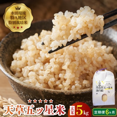 【6ヶ月定期便】【先行受付】天草五ッ星米 玄米 5kg_S061-T08A