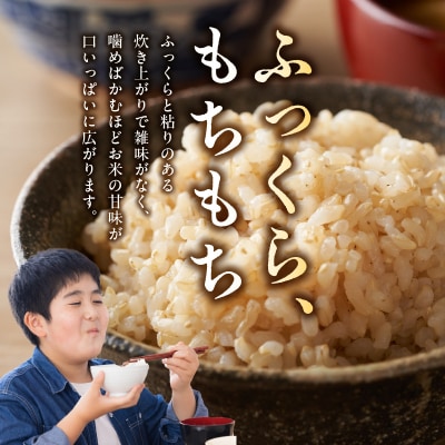 【6ヶ月定期便】【先行受付】天草五ッ星米 玄米 5kg_S061-T08A