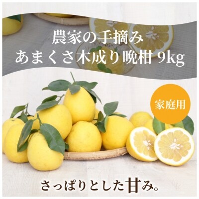 農家の手摘みあまくさ木成り晩柑 　約9kg_S040-023 | ふるさと納税のお礼品