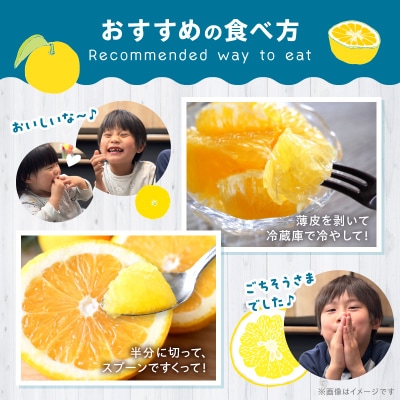 農家の手摘みあまくさ木成り晩柑 約7.5kg 先行受付_S040-023A