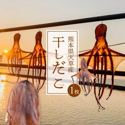 熊本県天草産干しだこ　1枚_S116-001A