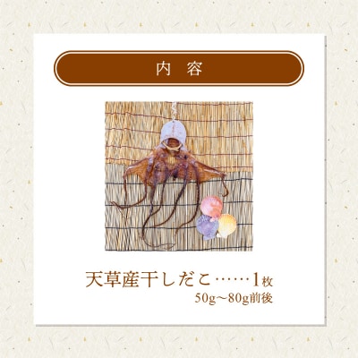 熊本県天草産干しだこ　1枚_S116-001A