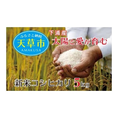 令和4年産 天草(下浦)早期新米(コシヒカリ)_S128-001