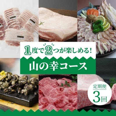 【定期便3回】1度で2つが楽しめる!山の幸コース_S999-T07