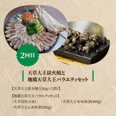 【定期便3回】1度で2つが楽しめる!山の幸コース_S999-T07