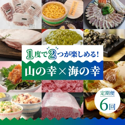 【定期便6回】1度で2つが楽しめる!山の幸 × 海の幸_S999-T09B