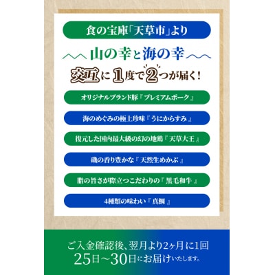 【定期便6回】1度で2つが楽しめる!山の幸 × 海の幸_S999-T09B