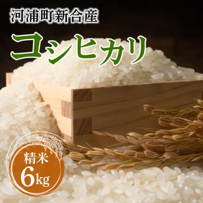 〈2025年産〉河浦町新合産　コシヒカリ　精米　6kg(3kg×2)_S112-005A