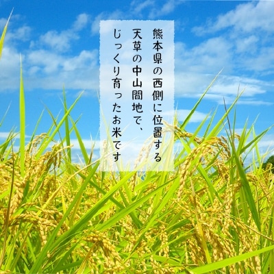 〈2025年産〉河浦町新合産　コシヒカリ　精米　6kg(3kg×2)_S112-005A